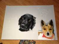 /album/galerie-photos/photo-1114-jpg/